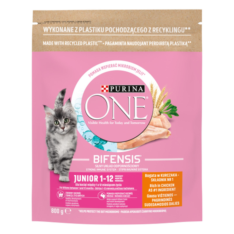 Purina ONE JUNIOR kiisueine 800g