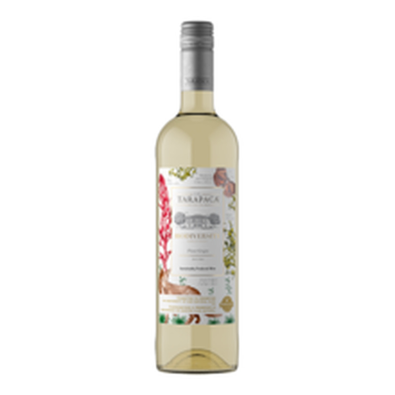 Tarapacá Biodiversity Pinot Grigio vein 12,5%vol 750ml