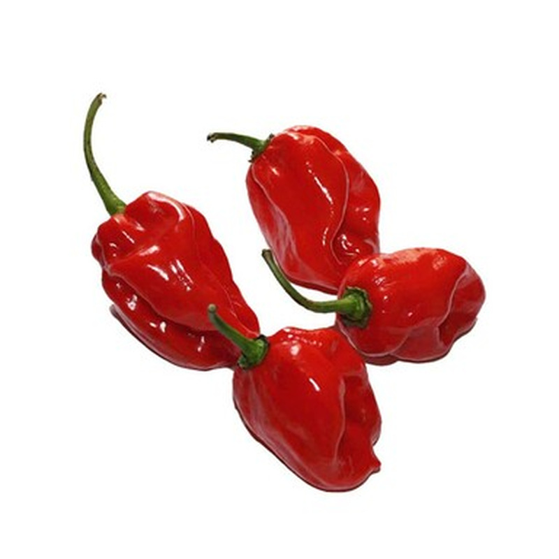 PJ Habanero punane kg