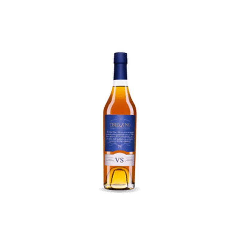 Brandy TBILVINO 5YO 40% 500ml