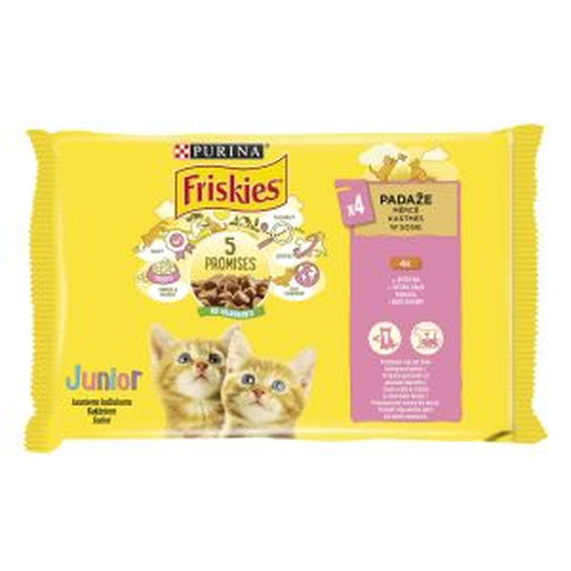 Friskies kiisueine kassipoegadele 4*85g kanaga kastmes