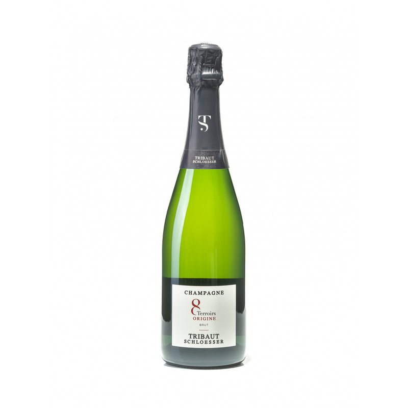 KAST 6 tk! Champagne Tribault Origine Brut 75cl 12,5%