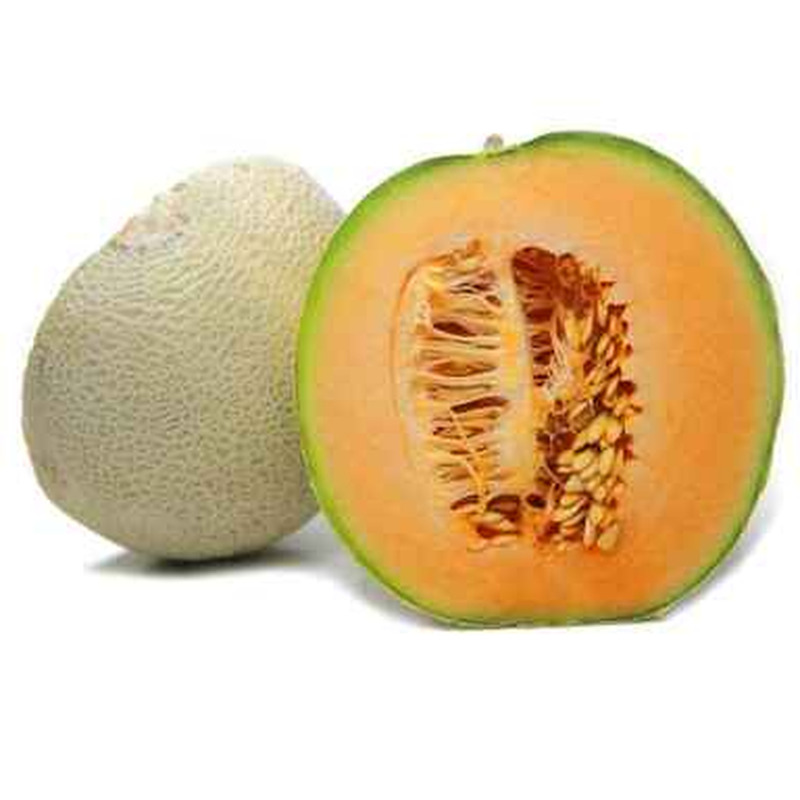 PJ Melon Cantalope kg