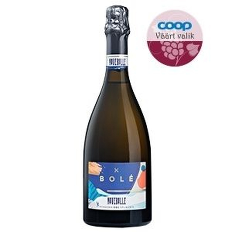 Bole Romagna Brut 0.75L KPN vahuvein