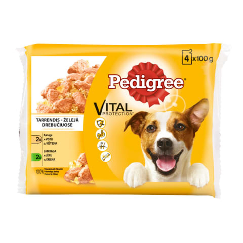 Koerasööt Pedigree kana-lamba tükid tarrendis 400g