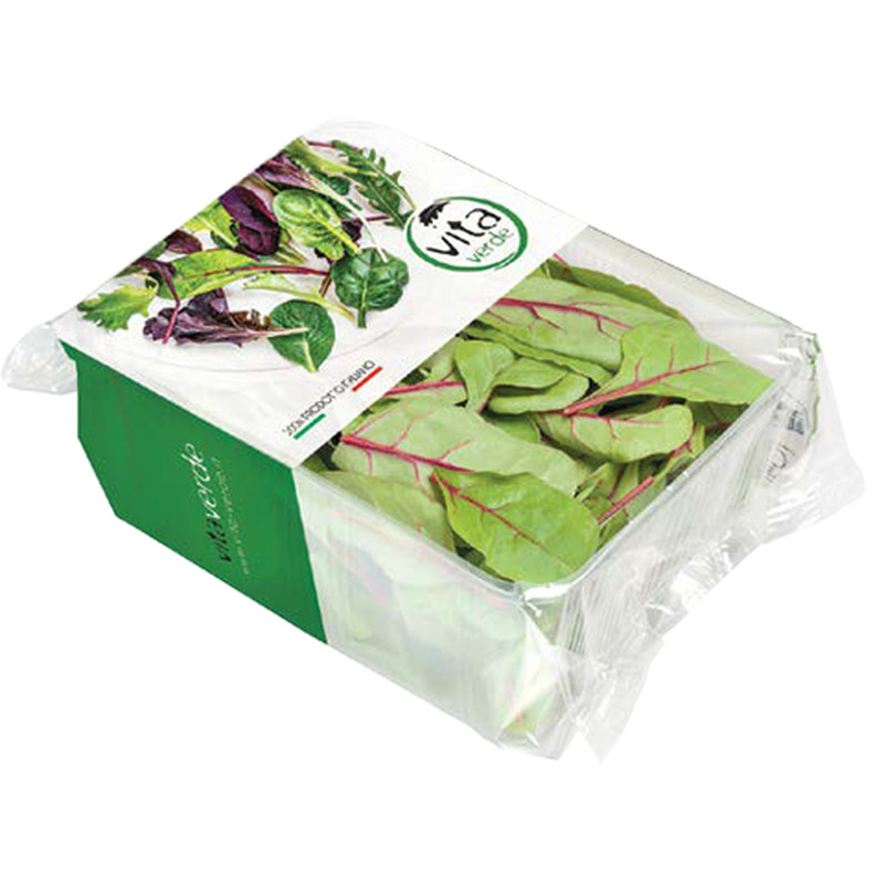 Salat Mangold, VITA VERDE , 100 g