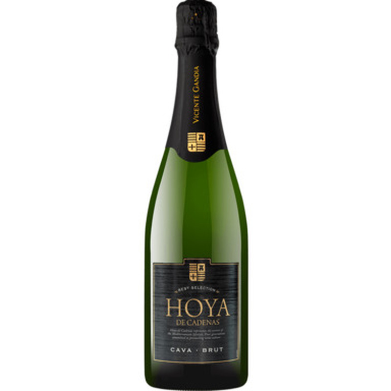 HOYA De CADENAS Cava Brut 11,5% 75cl (valge, kuiv)