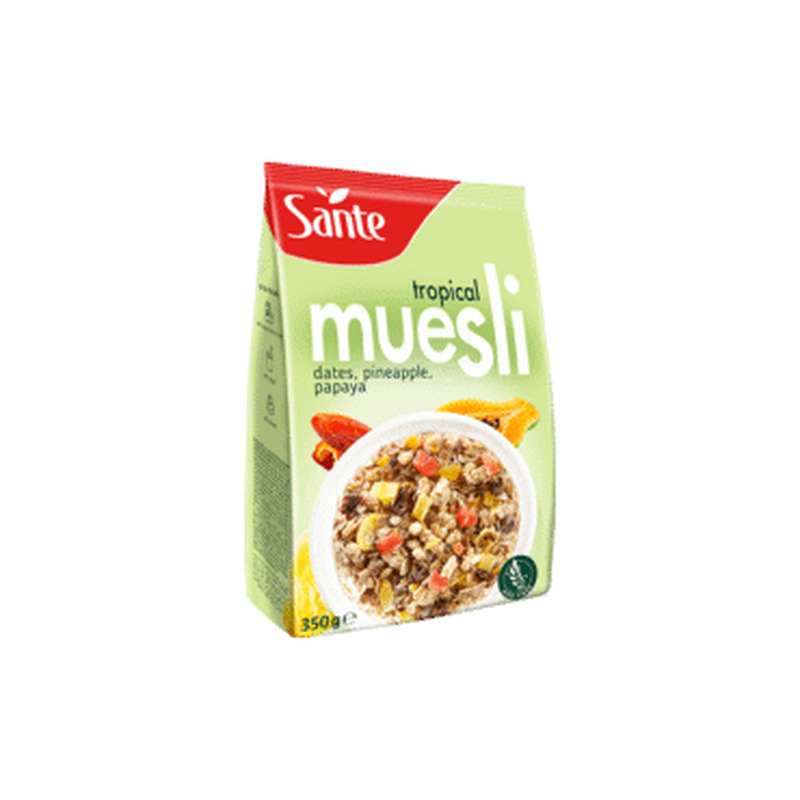 Müsli troop.puuviljadega SANTE 350g