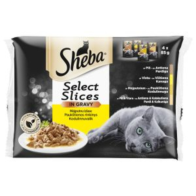 Kiisueine linnulihaga kastmes 4-pakk, SHEBA, 4x85 g