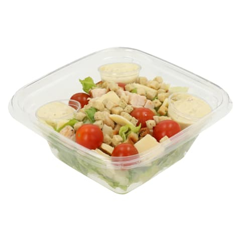 PT Caesari salat kanaga 400g (ETTETELLIMISEGA)