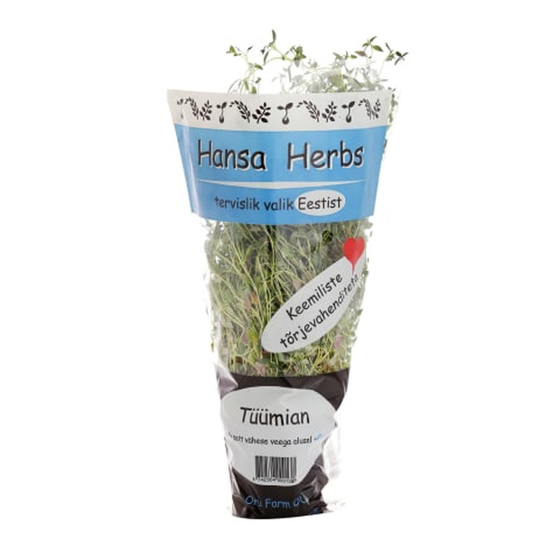 Tüümian potis Hansa Herbs