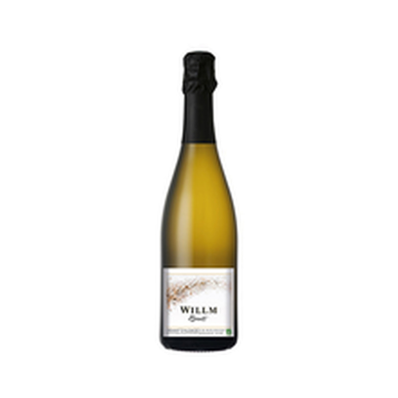 Willm Cremant D'Alsace Brut KPN kvaliteetvahuvein 12%vol 750ml