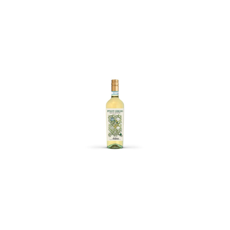 KAST 6 tk! Ville di Antane Pinot Grigio IGT 75cl 12,5%