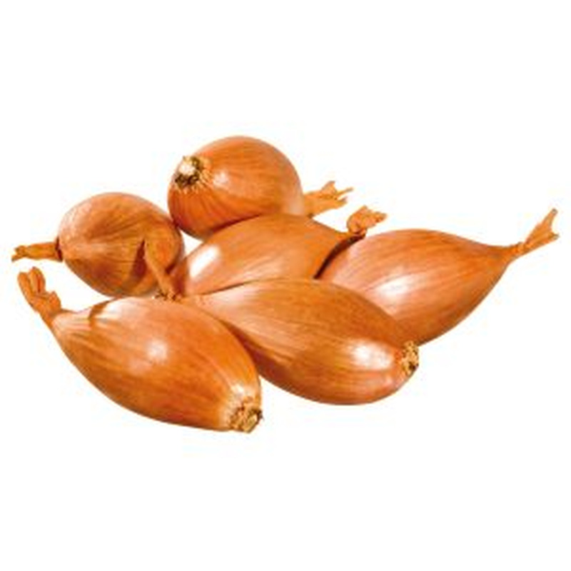 Sibul Shallot 250g