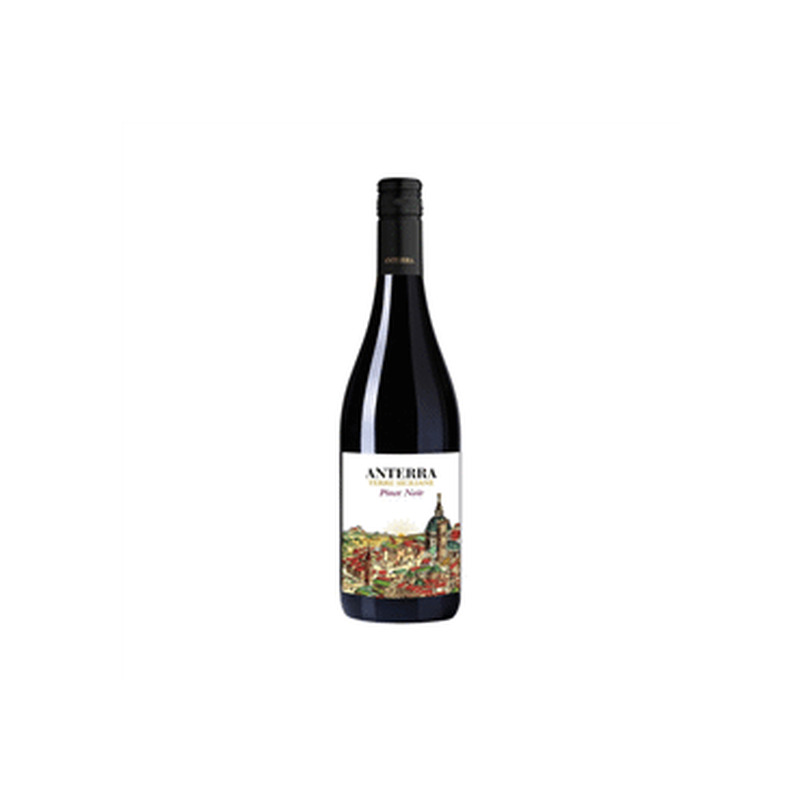 KGT vein ANTERRA Pinot Noir 750ml