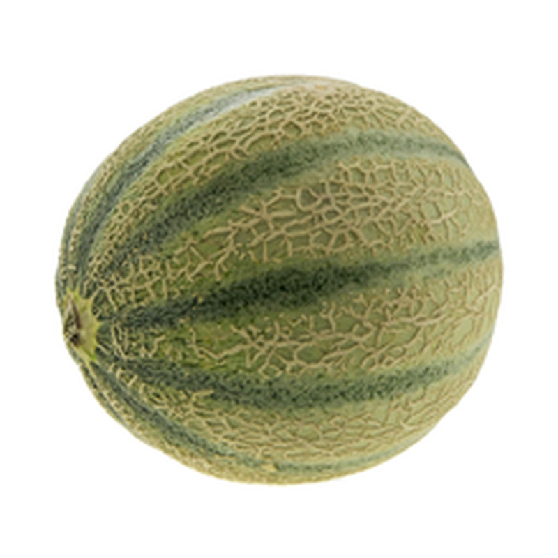 Melon Cantaloupe