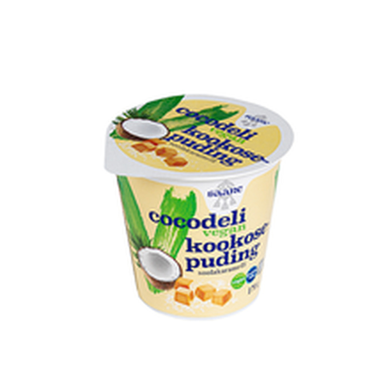 Soolakaramelli-kookosepuding 170 g