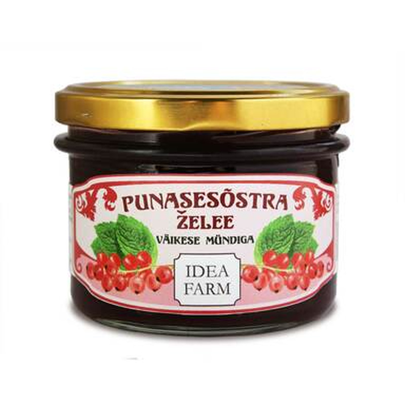 IDEAFARM Punanesõstar väikese mündiga 230ml