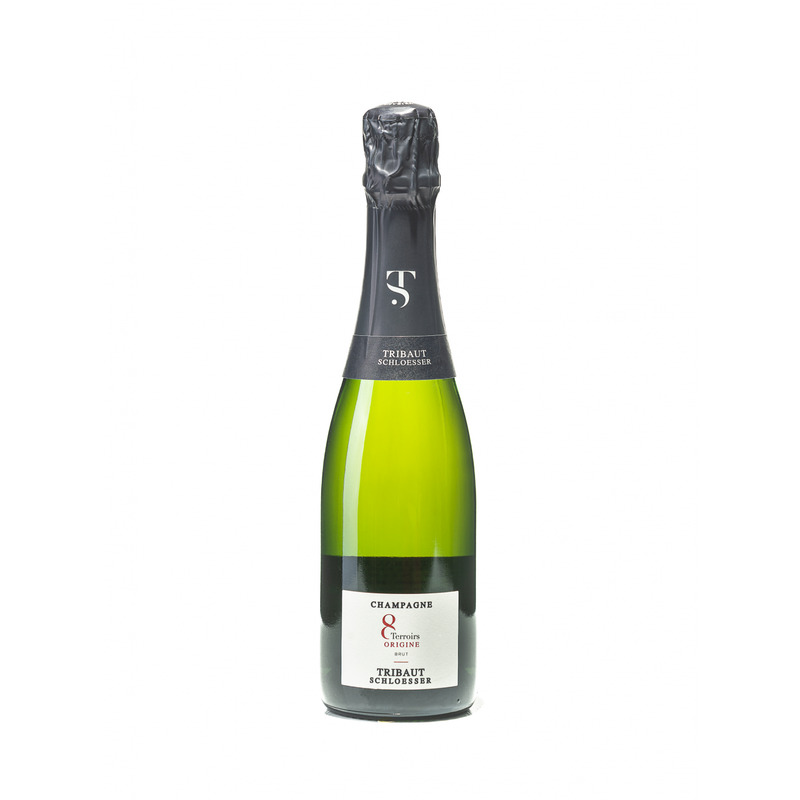 KAST 12 tk! Champagne Tribaut Origine Brut 37,5cl 12,5%