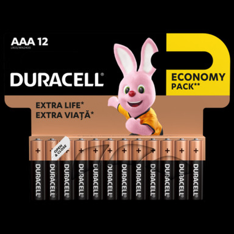 Patareid Basic AAA, DURACELL, 12 tk